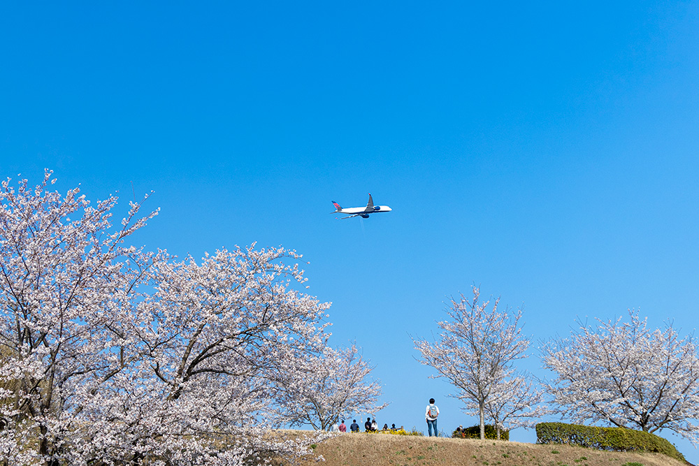 Sakurayama, Narita City